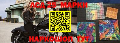 тгк Бийск