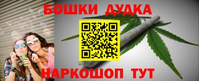 тгк Бийск