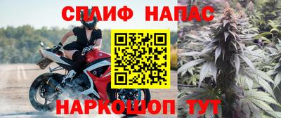 тгк Бийск