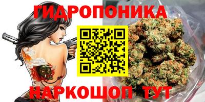 тгк Бийск
