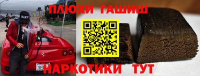 тгк Бийск
