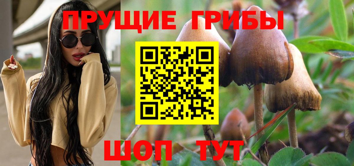 Псилоцибиновые грибы MAGIC MUSHROOMS Кингисепп